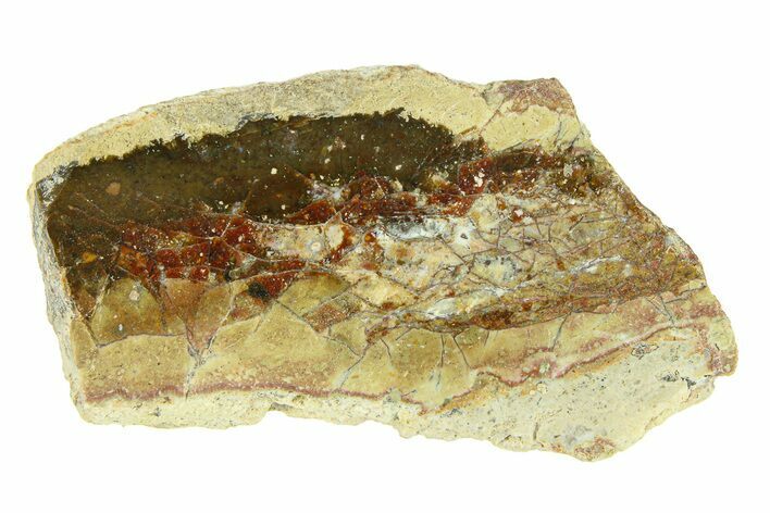 Polished Colorful Agate with Native Copper - Java, Indonesia #293384